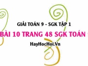 Giải bài 10 trang 48 SGK Toán 9 tập 1: Cách lập công thức y theo x